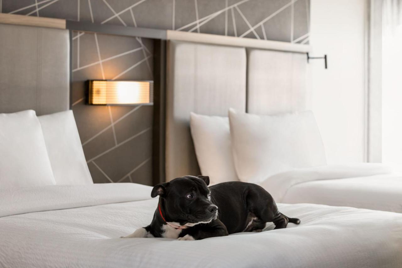 Springhill Suites By Marriott Camp Hill Esterno foto